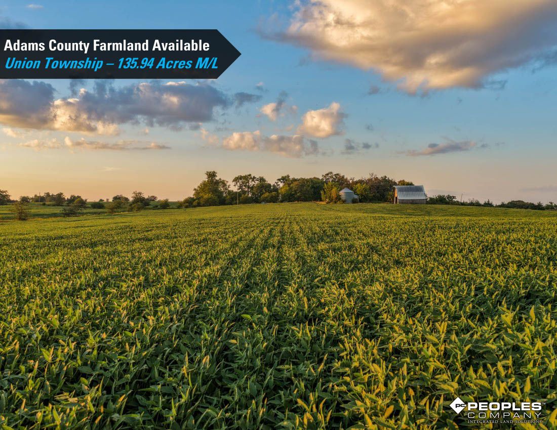 Listing Photo: Adams-County-Iowa-Farmland-Available-136-Acres-Blazek-Estate-19707 (29)